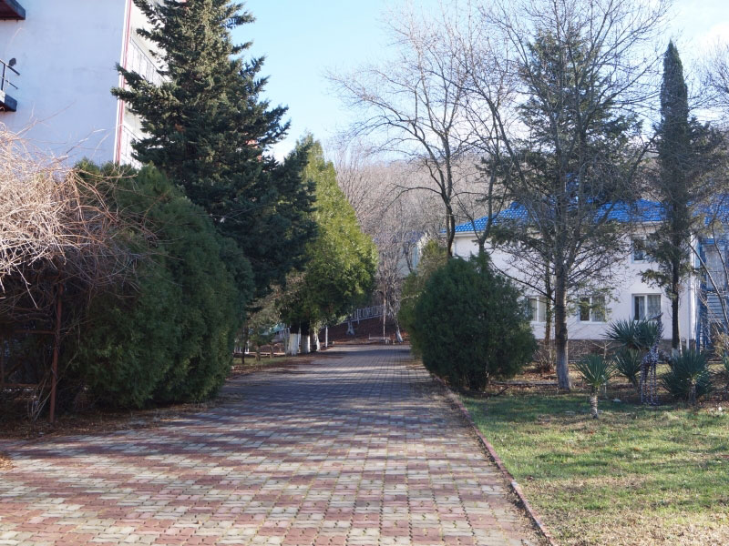 Территория