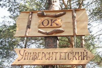 ДОЛ Университетский
