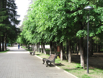 ДОЛ Голубая стрела